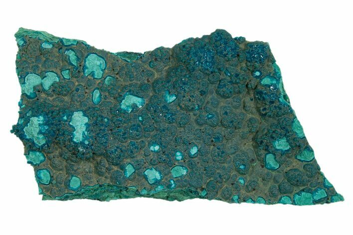 Teal Botryoidal Chrysocolla and Malachite - Chile #310141